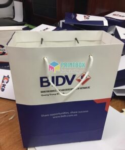 In túi giấy ngân hàng BIDV