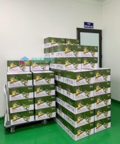 in hộp carton đựng mỹ phẩm