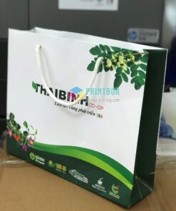 in túi giấy HTX Thái Bình