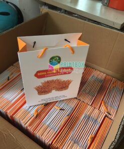 in túi giấy Đông trùng Hạ Thảo