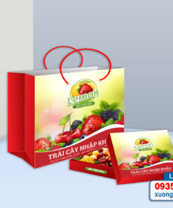 Mẫu túi giấy đựng cửa hàng trái cây