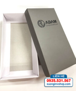 in hộp giấy giả cứng Adam