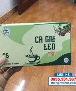 In hộp trà Cà gai leo