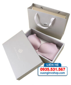 in túi, hộp đựng đồ lót
