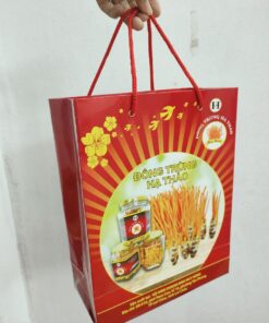 Túi đựng đông trùng hạ thảo