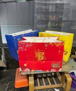 In túi đựng quà tết đẹp
