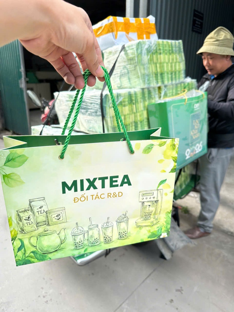 tuigiaymixtea14