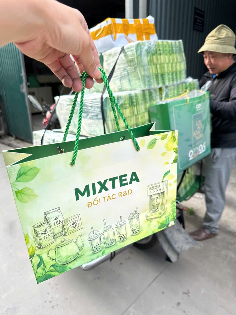 tuigiaymixtea17
