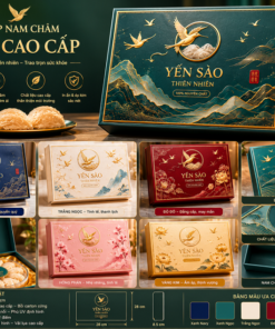 Mẫu hộp yến cao cấp